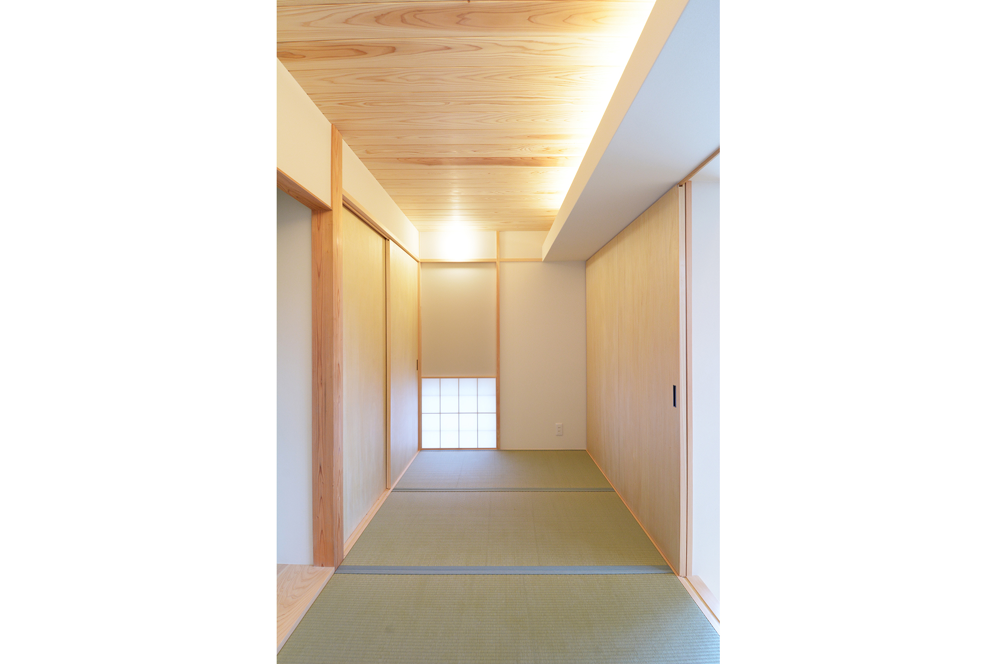 ねこ・と・くらす